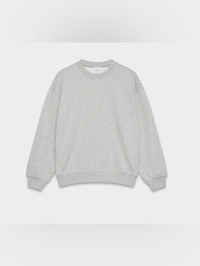 ARITZIA Community Crewneck Sweatshirt in Light Gray